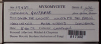 Image Associated With the Occurence